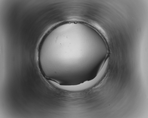 X0000091581376200709171108