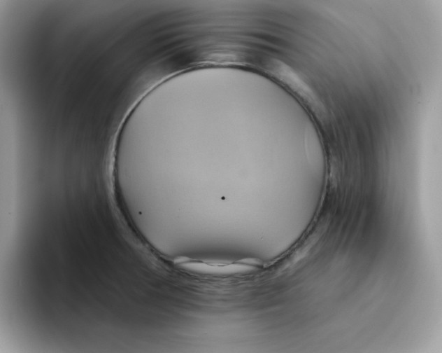 X0000091581378200709171108