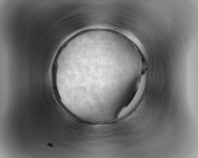 X0000091581380200709171108