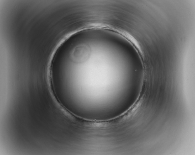 X0000091581381200709171108