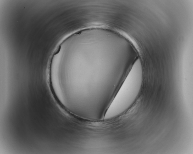 X0000091581383200709171108
