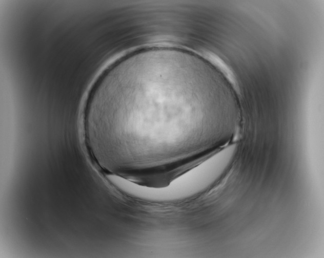 X0000091581384200709171108
