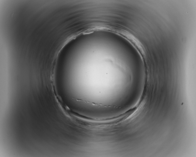 X0000091581385200709171108