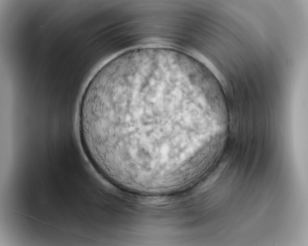 X0000091581387200709171108