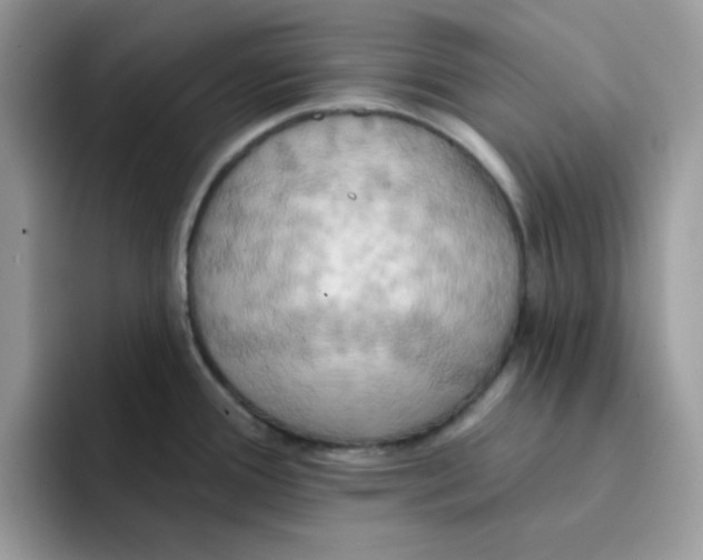 X0000091581388200709171108