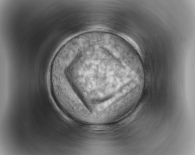 X0000091581391200709171108