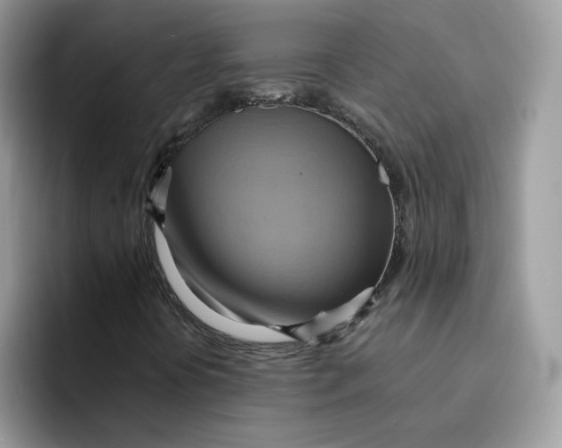 X0000091581394200709171107