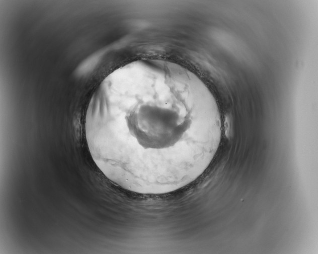 X0000091581395200709171107