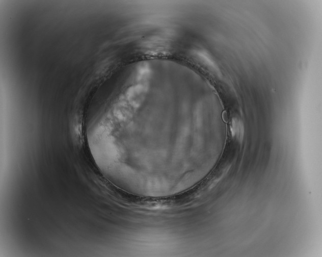 X0000091581396200709171107