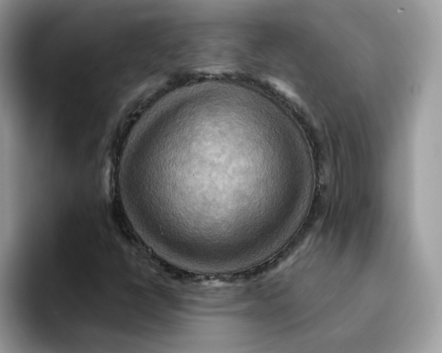 X0000091581398200709171107