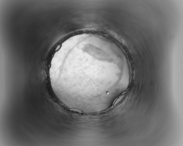 X0000091581400200709171107