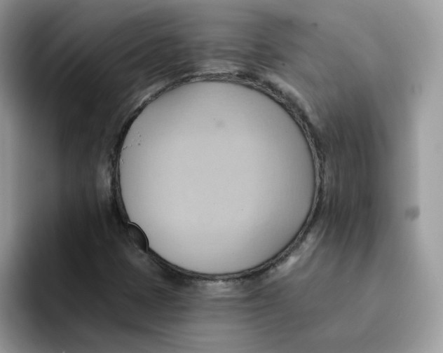 X0000091581401200709171107