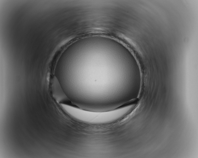 X0000091581402200709171107