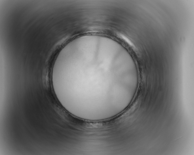 X0000091581403200709171107