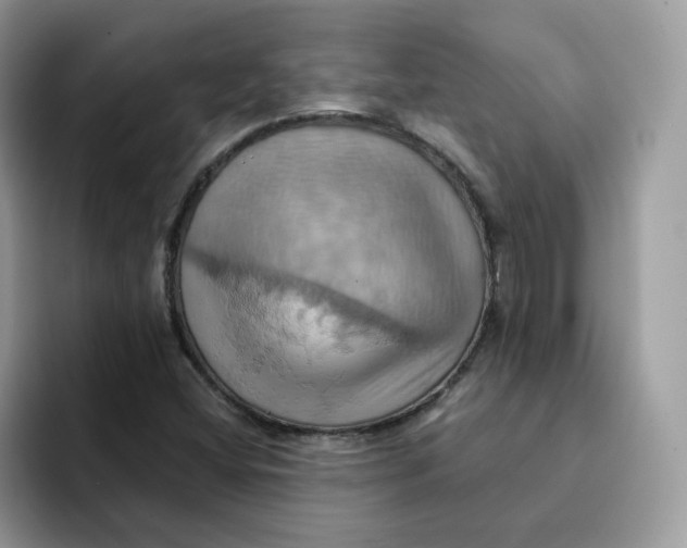 X0000091581404200709171107