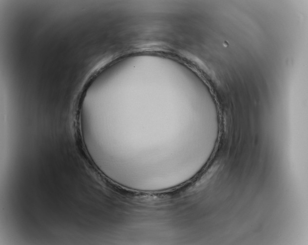 X0000091581405200709171107