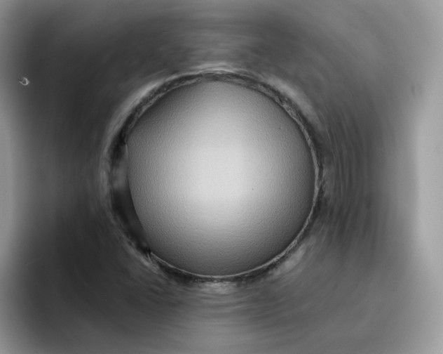 X0000091581406200709171107