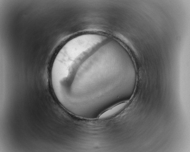 X0000091581408200709171107