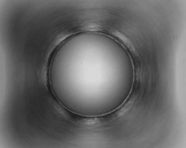 X0000091581410200709171107