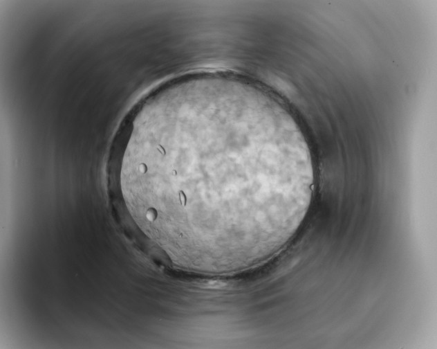 X0000091581412200709171107