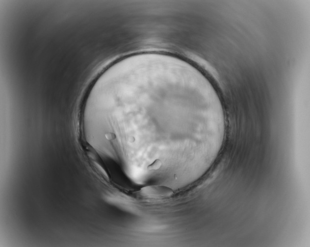 X0000091581415200709171107