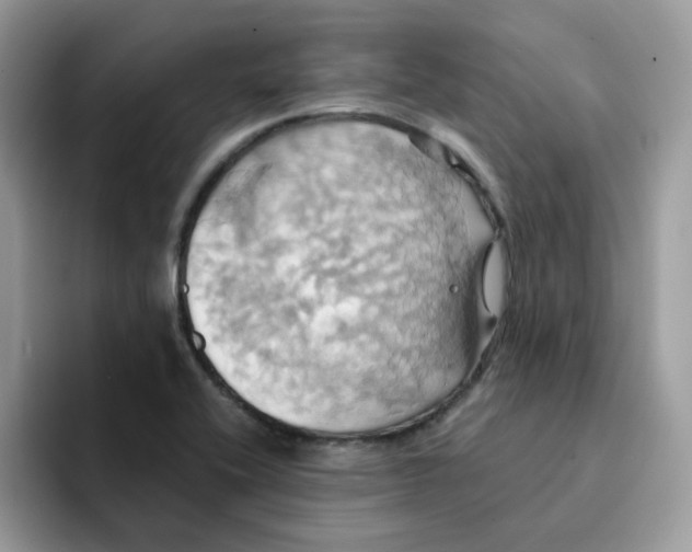 X0000091581416200709171107