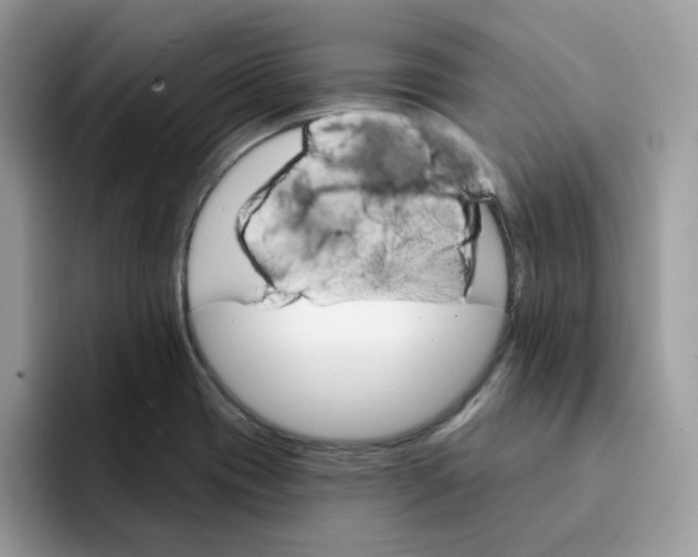 X0000091581417200709171107