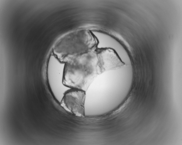 X0000091581421200709171107