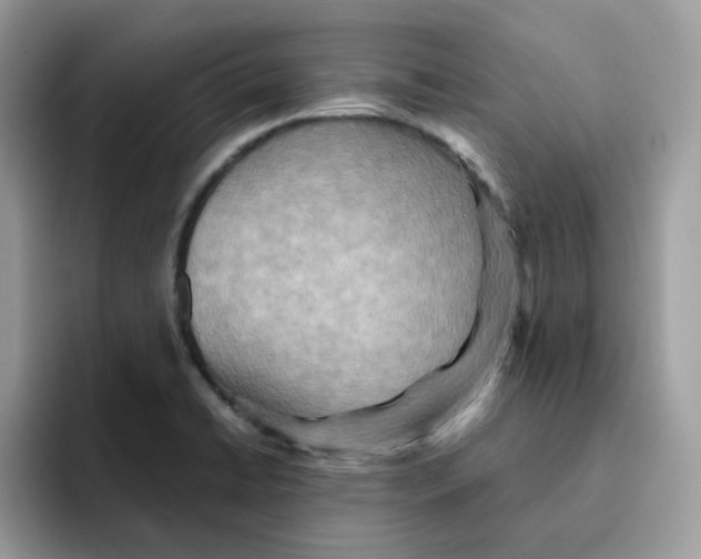 X0000091581422200709171107