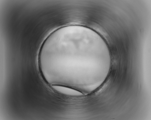 X0000091581423200709171107