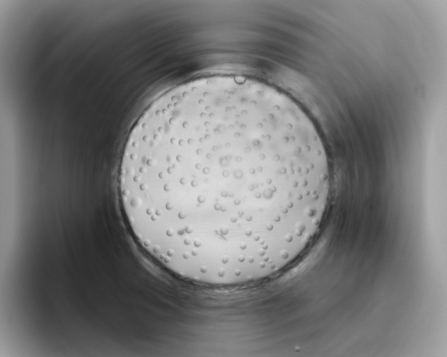 X0000091581425200709171107