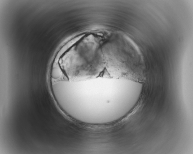 X0000091581429200709171108
