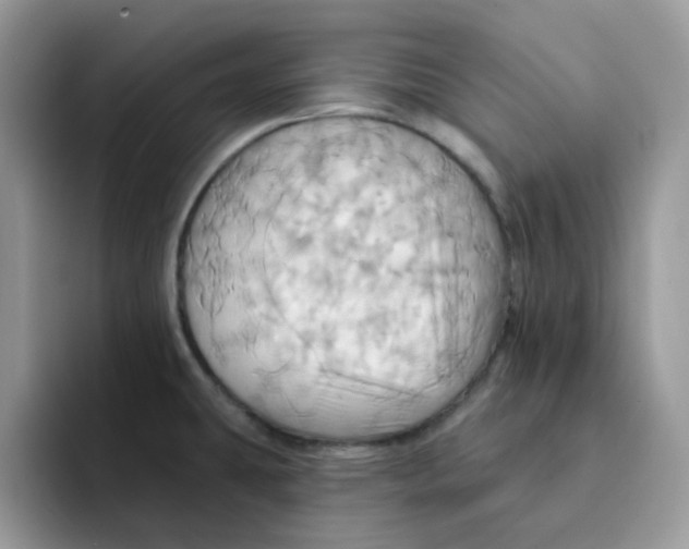 X0000091581431200709171108