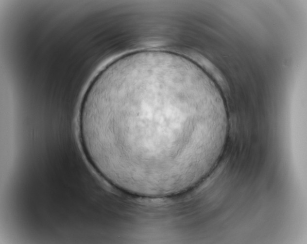 X0000091581432200709171108