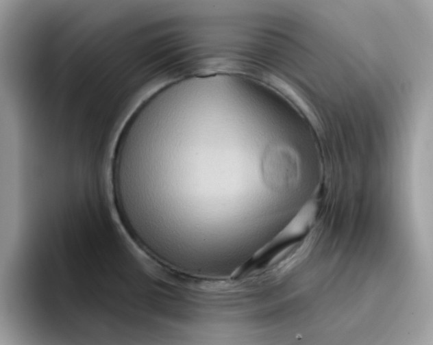 X0000091581434200709171108