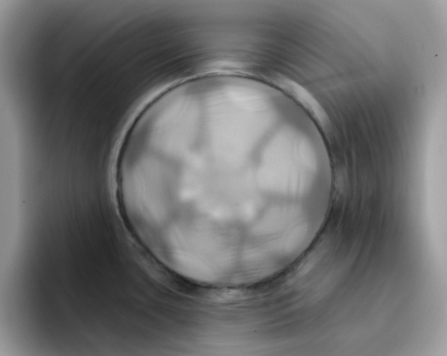 X0000091581435200709171108
