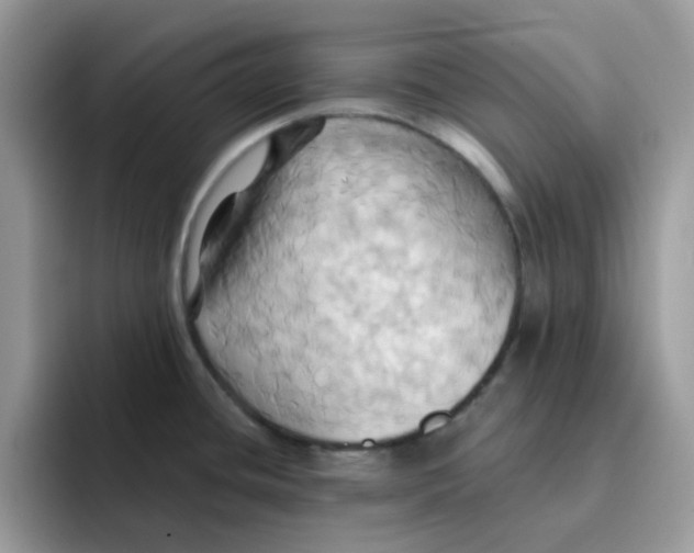 X0000091581436200709171108