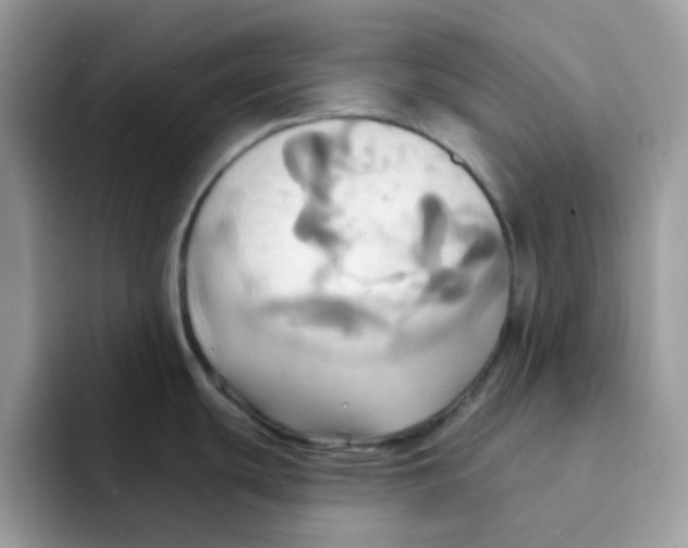 X0000091581439200709171108