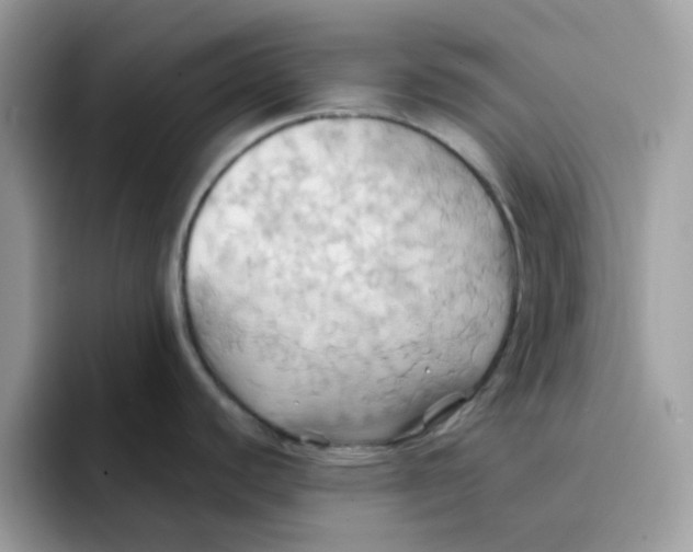 X0000091581440200709171108