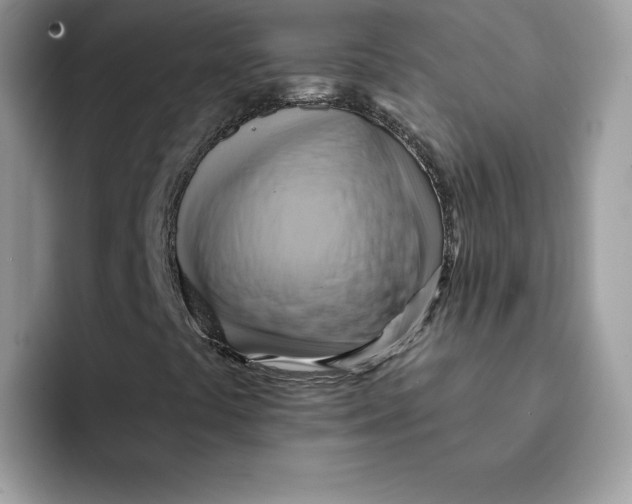 X0000091581441200709171107