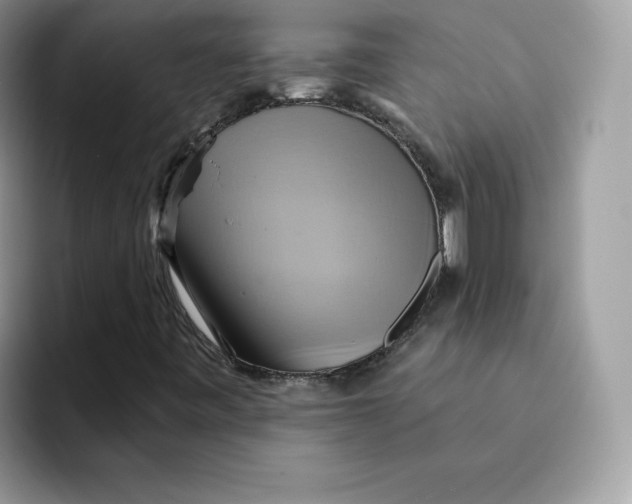 X0000091581443200709171107