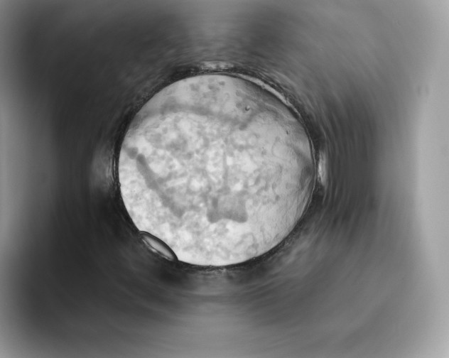 X0000091581444200709171107