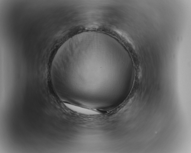 X0000091581445200709171107