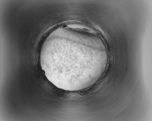 X0000091581448200709171107