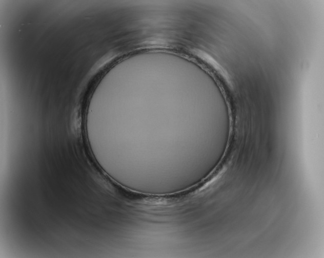 X0000091581450200709171107