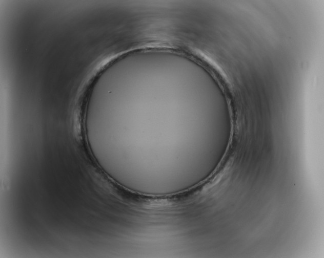 X0000091581455200709171107