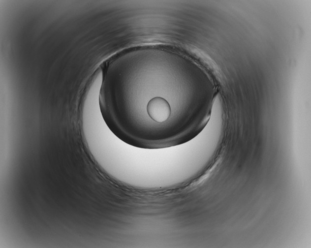 X0000091581457200709171107