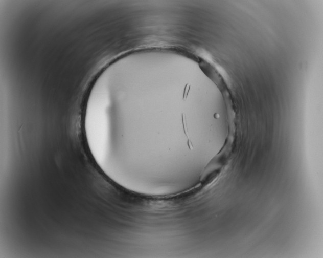 X0000091581459200709171107