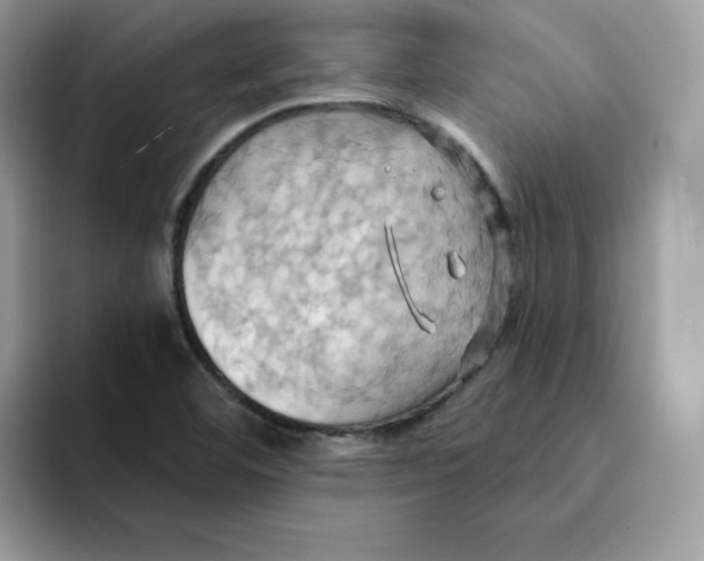 X0000091581460200709171107