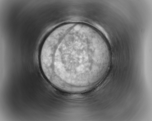 X0000091581464200709171107